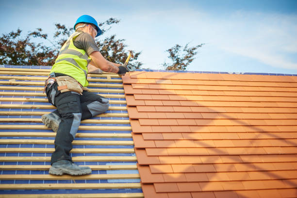 Best Roof Restoration  in Pinetops, NC